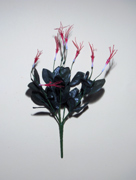 Fuchsie, Blumenstiel ohne Blüten