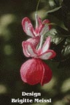 Fuchsie Häkelblumen Anleitung
