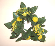 Margerite, Kerzenring, ohne Blüten