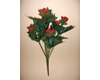 Weihnachtsstern, Christstern, Blumenstiel ohne Blüten