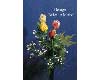 Rose Knospe Gitterbandblume Anleitung
