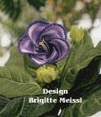 Gloxinie Häkelblumen Anleitung