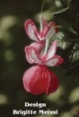 Fuchsie Häkelblumen Anleitung