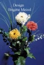 Aster Gitterbandblume Anleitung