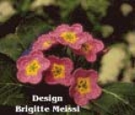 Primel Häkelblumen Anleitung