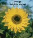 Sonnenblume mittel/groß Häkelblumen Anleitung